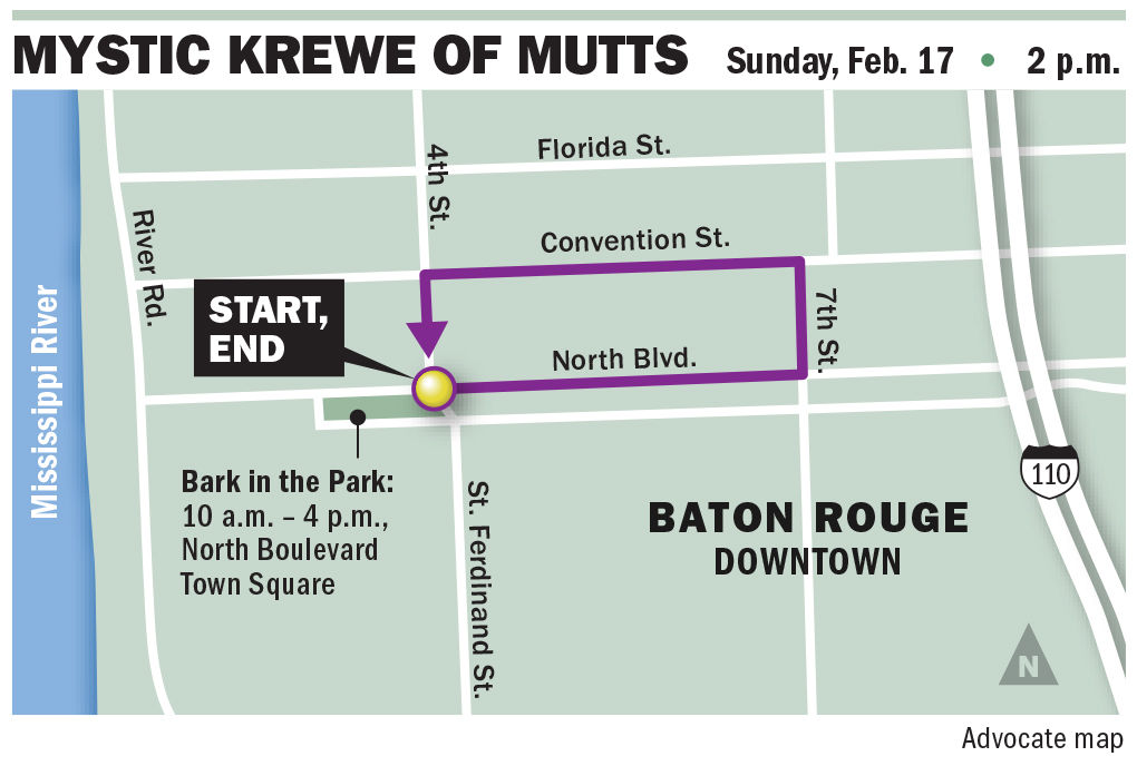 021719 Mutts